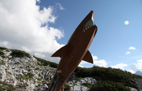 Dachstein Hai