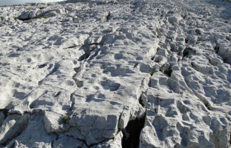 Heilbronner Rundwanderweg